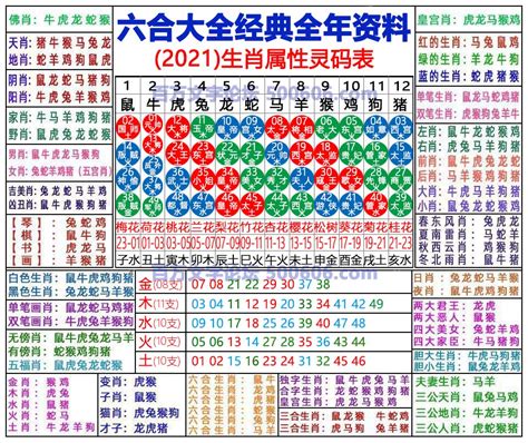 24年生肖|2024年生肖表 2024年生肖表图